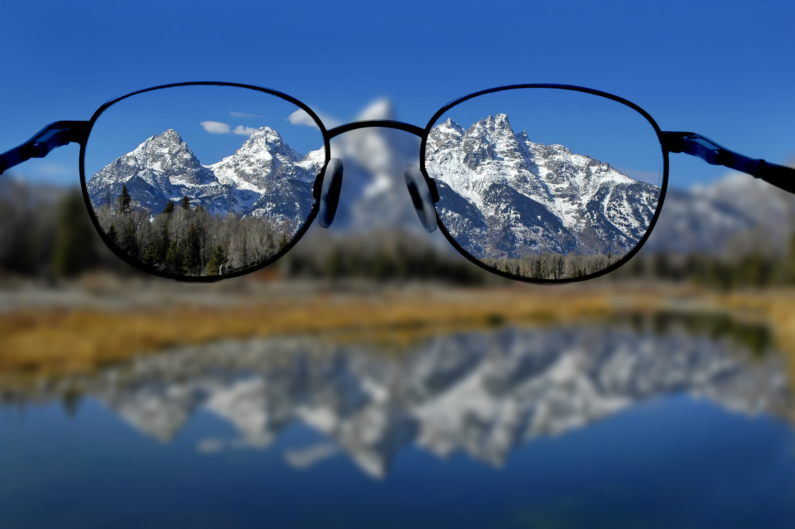 Diet + Exercise + Eye Exams = Good Vision